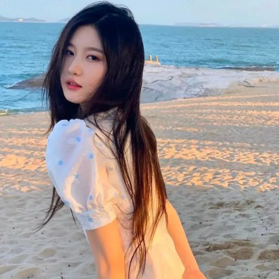 新罗宾汉